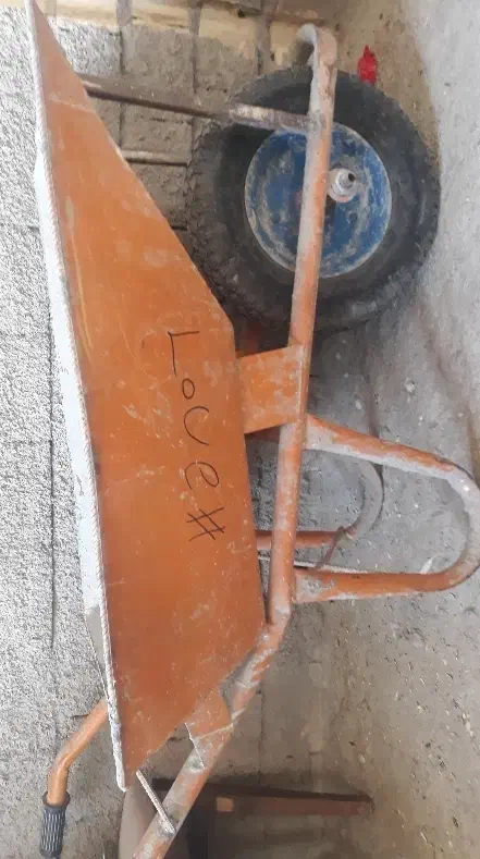 فرقون|پرنده|آزادشهر, |دیوار