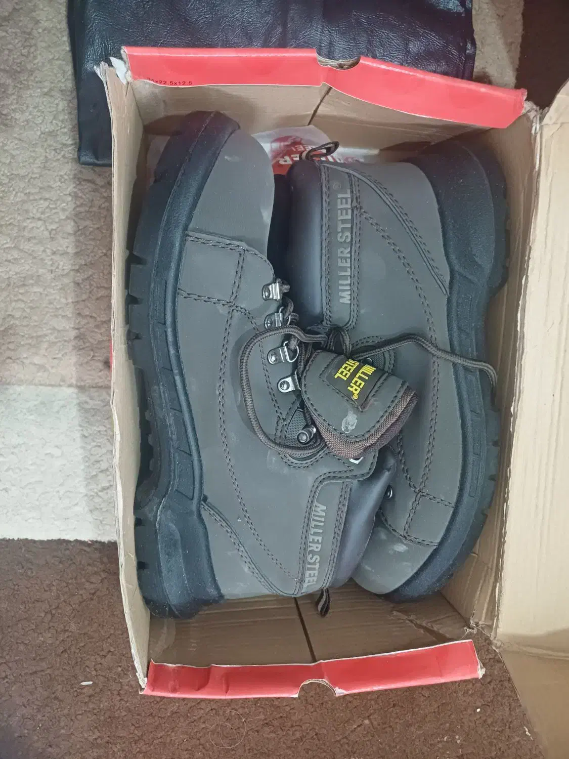 ۲ جفت کفش نو|کیف، کفش، کمربند|چمران, |دیوار