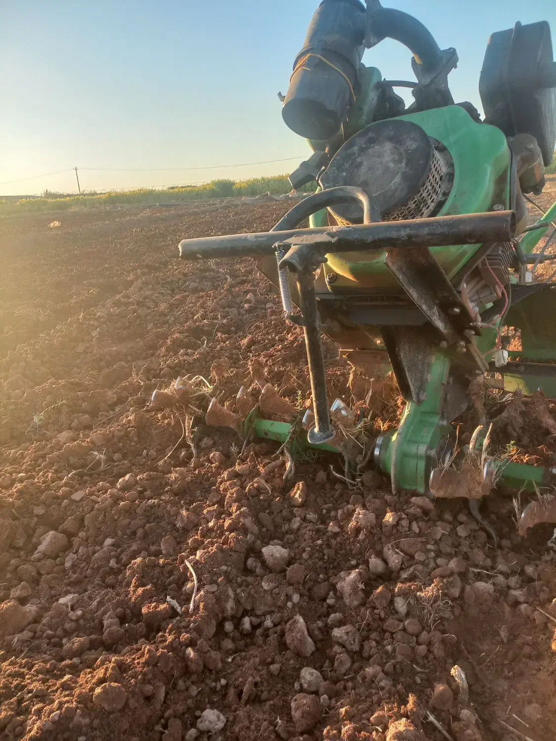 شخم زدن زمین زعفران با دستگاه ۷/۵سبک با تیغه مخصوص|خدمات باغبانی و درختکاری|نیشابور, فضل|دیوار