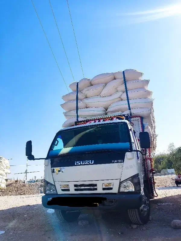 خرید و فروش کاه|لوازم جانبی حیوانات|نورآباد, |دیوار