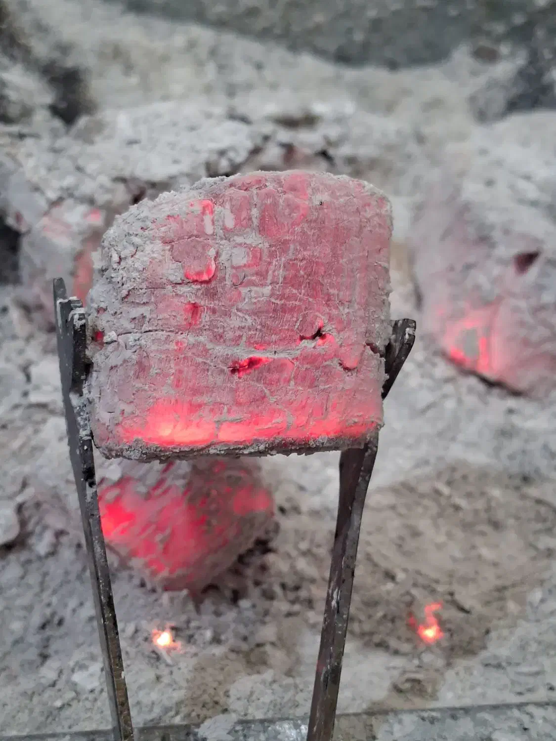 زغال لیمو سکه و مچی|کوهنوردی و کمپینگ|زاهدان, |دیوار