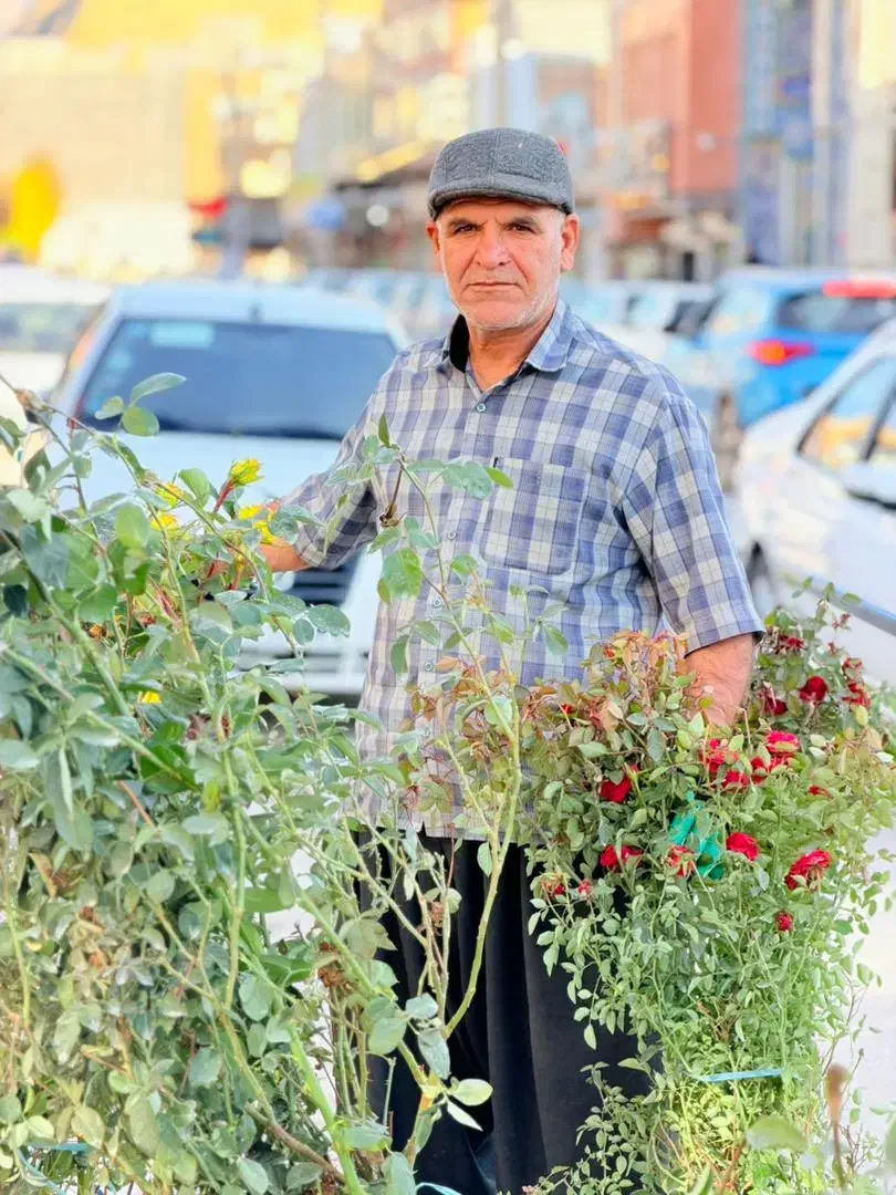 همه نوع گل و نهال درخت|خدمات باغبانی و درختکاری|سرپل ذهاب, |دیوار