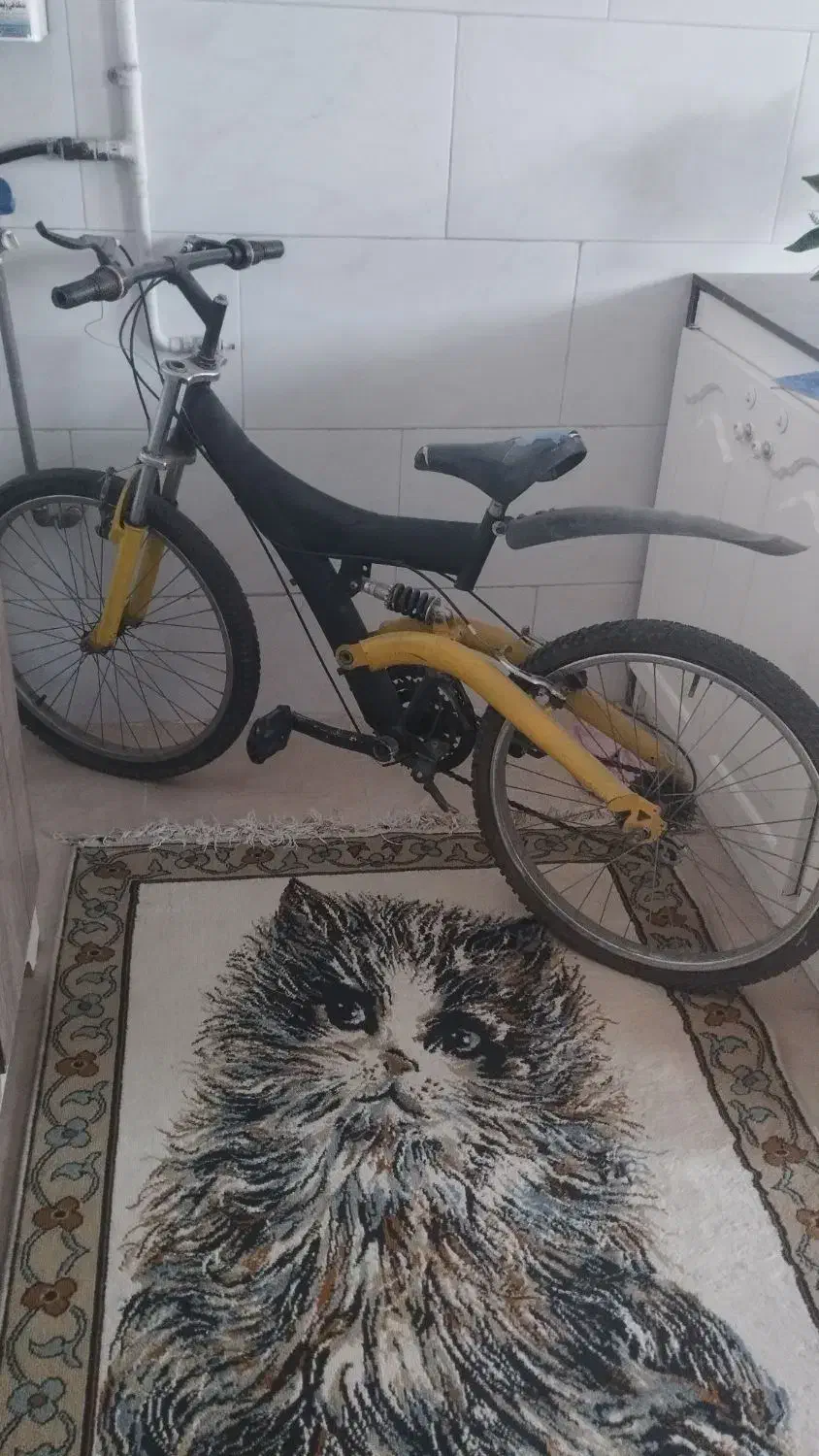 دوچرخه ۲۴|دوچرخه، اسکیت، اسکوتر|مشکین‌دشت, |دیوار