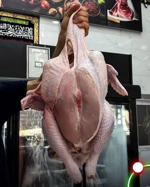 گوشت محلی کشتار روز بوقلمون اردک غاز مرغ و خروس|خوردنی و آشامیدنی|تهران, نیروی هوایی (پیروزی)|دیوار