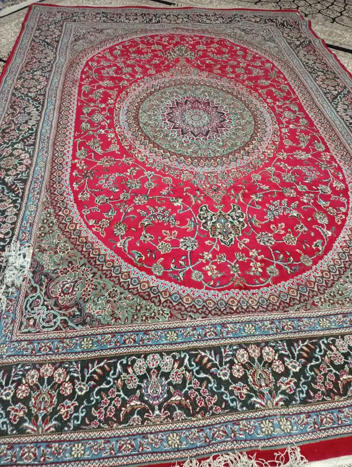 قالی ۹متری|فرش|اندیمشک, |دیوار