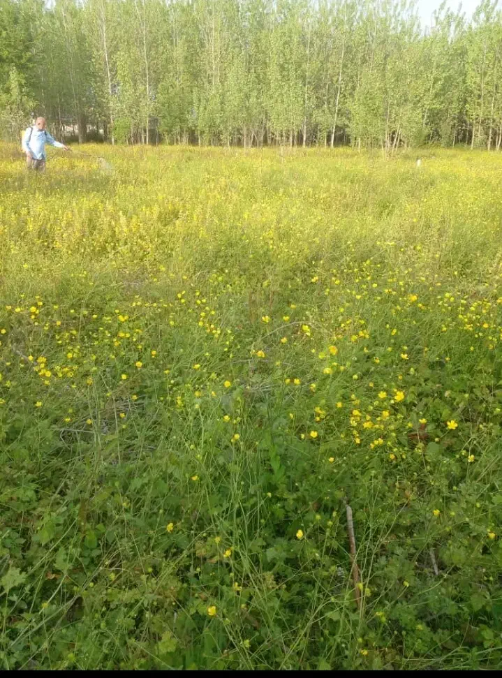 زمین مسکونی و باغی با شرایط فوق العاده|فروش زمین و ملک کلنگی|صومعه‌سرا, |دیوار