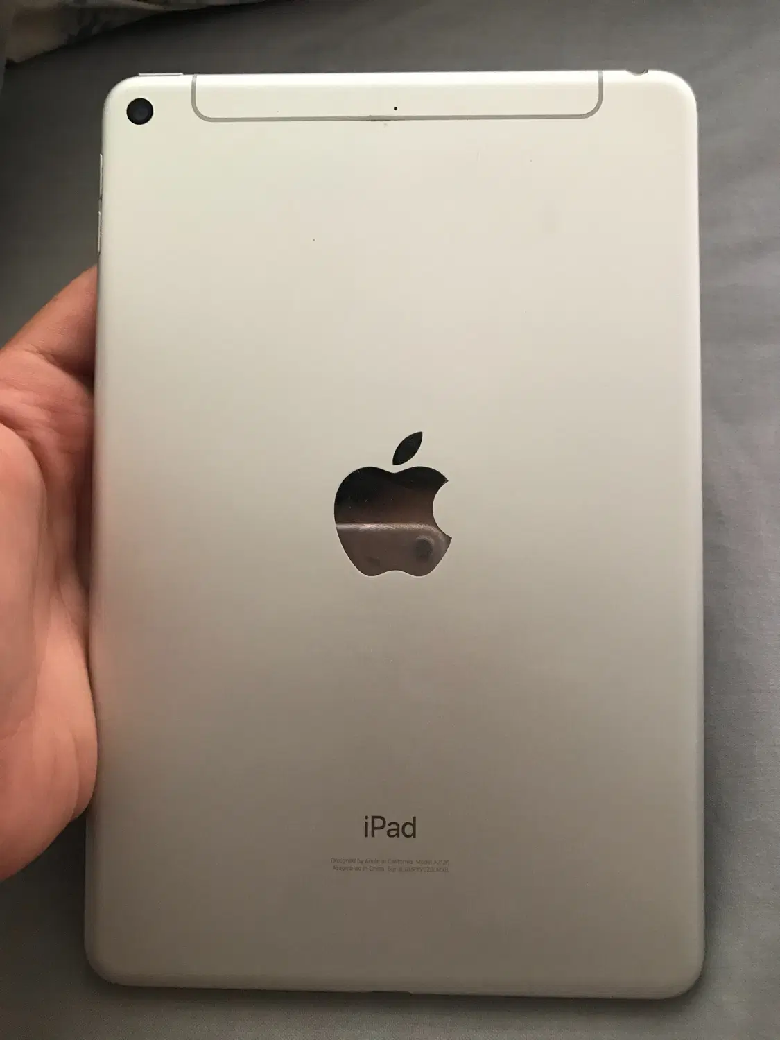iPad mini 5|تبلت|قروه, |دیوار
