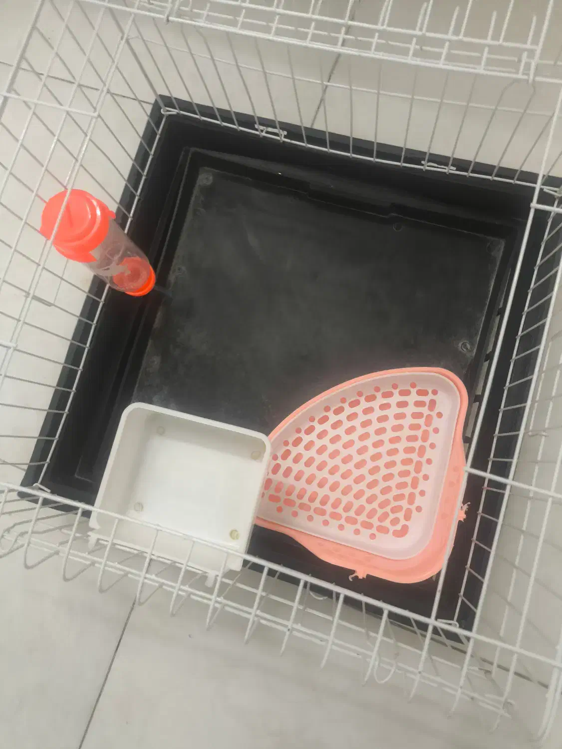 قفسه خرگوش و همستر|موش و خرگوش|تهران, ازگل|دیوار