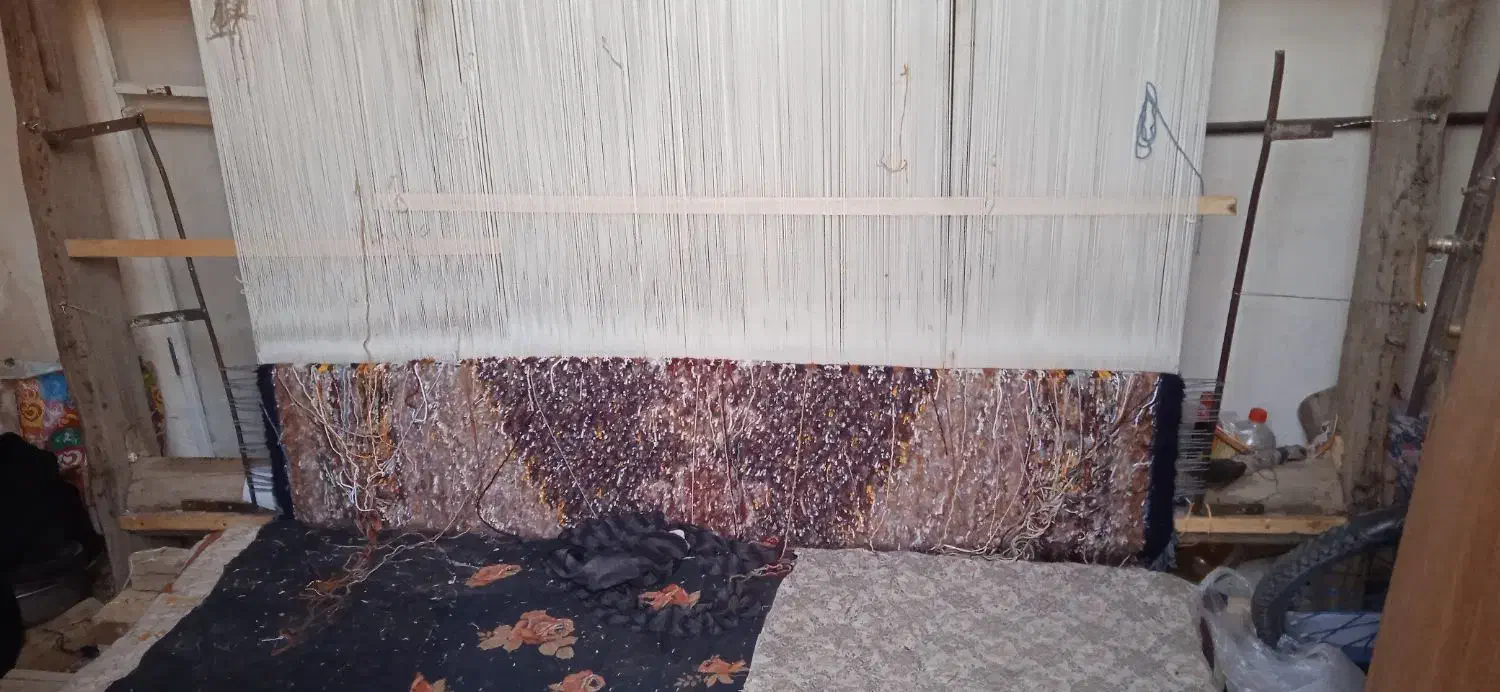 فرش دستباف نیمه کاره|فرش|خوی, |دیوار