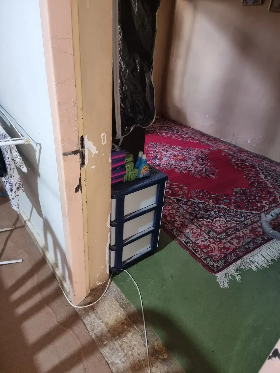 قالی دستباف|فرش|شاهینشهر, فردوسی|دیوار