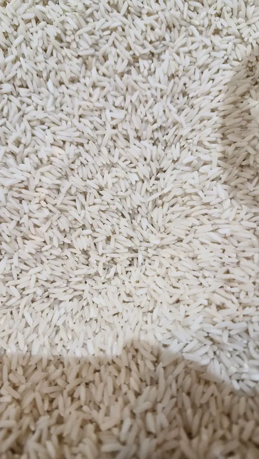 هاشمی محلی دانه درشت|خوردنی و آشامیدنی|رشت, دباغیان|دیوار