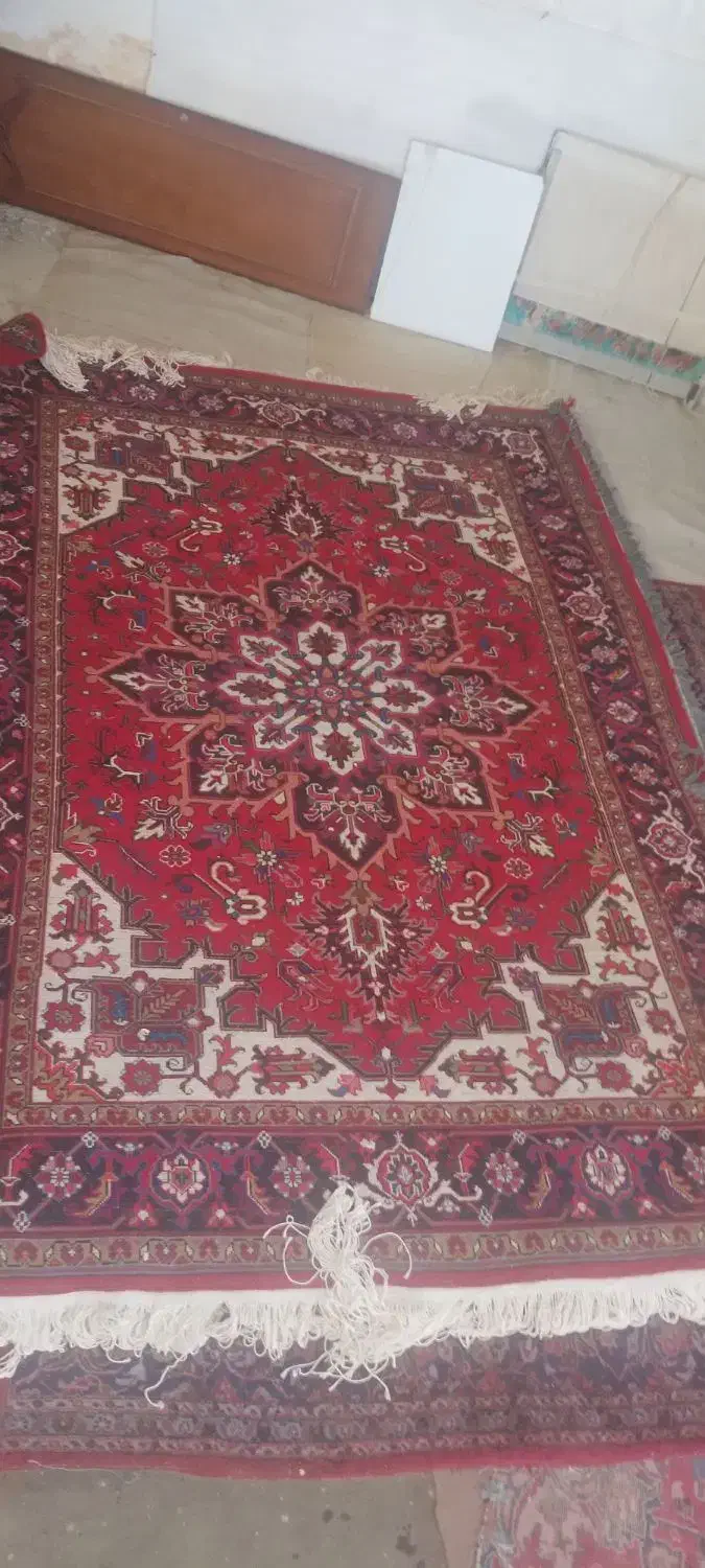 فرش دست باف ۶ متری یک تخته|فرش|اسکو, |دیوار