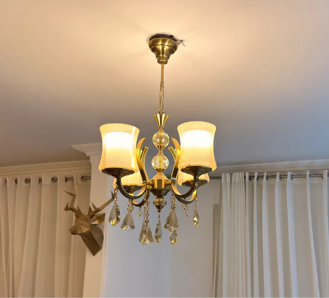 لوستر پذیرایی و اتاق خواب|لوستر و چراغ آویز|همدان, |دیوار