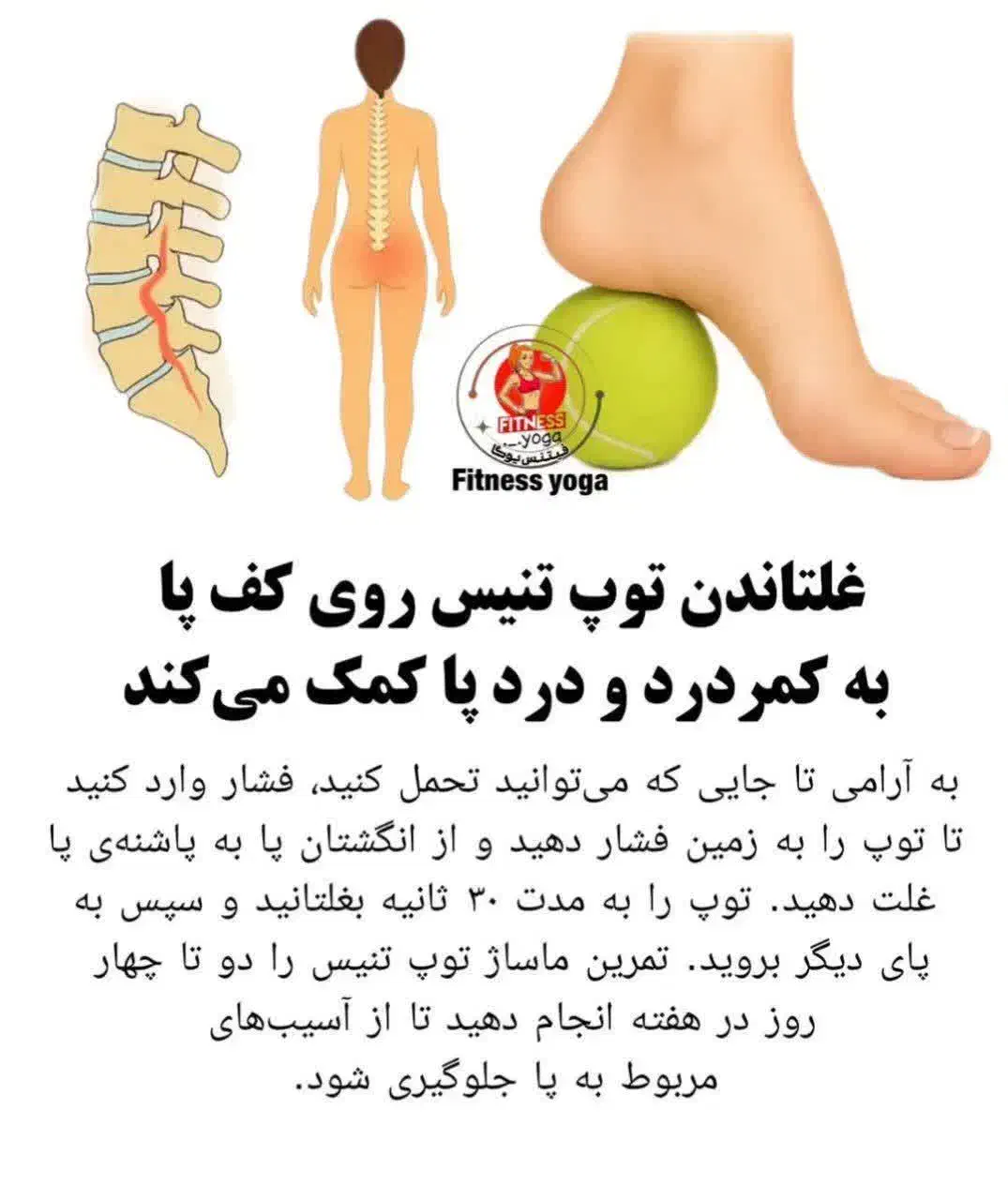 آموزش ژیمناستیک وخوشنویسی|خدمات آموزشی|اصفهان, شاهد|دیوار
