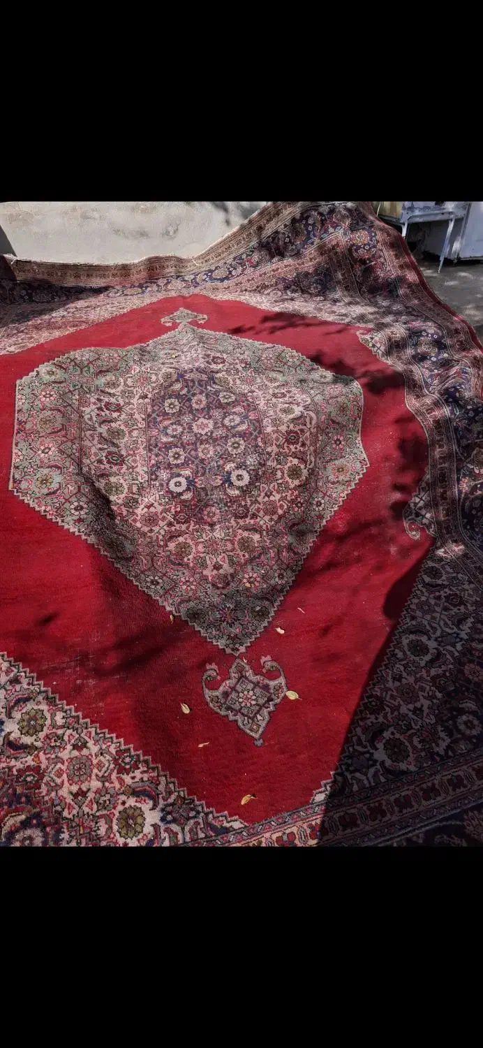 فرش دستبافت|فرش|شوط, |دیوار