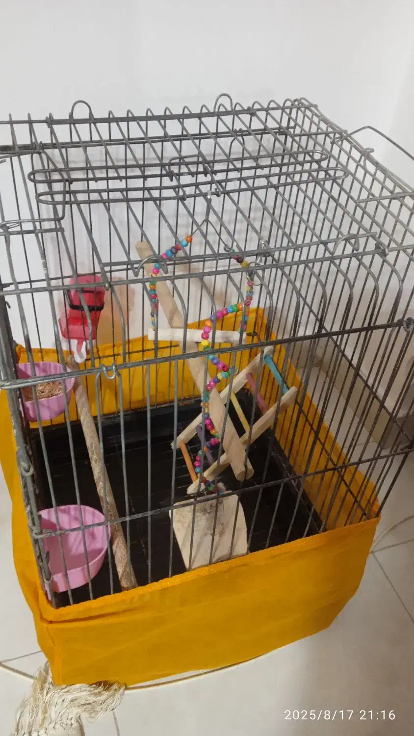 قفس بزرگ طوطی|لوازم جانبی حیوانات|رشت, باهنر|دیوار
