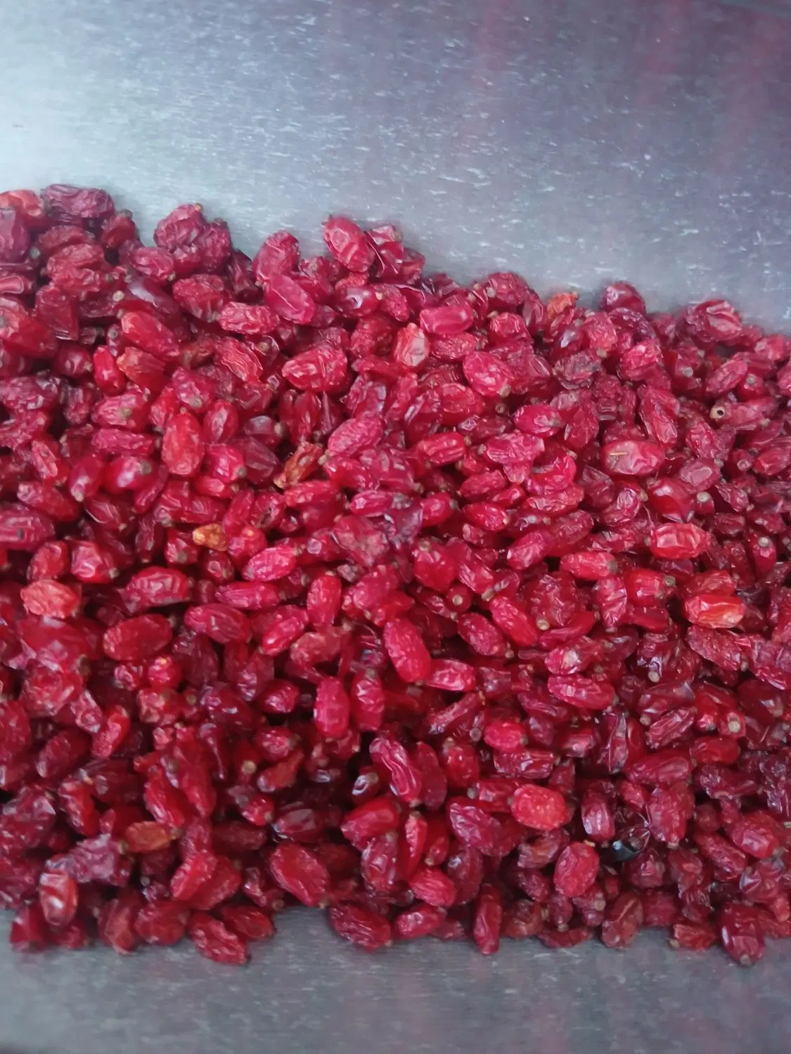 زرشک|خوردنی و آشامیدنی|کرج, نوروزآباد|دیوار