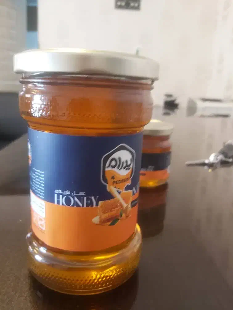 عسل چهل گیاه ۱۰۰٪طبیعی سیب سلامت استانداردنقدی چکی|خوردنی و آشامیدنی|تهران, شهرک بعثت|دیوار