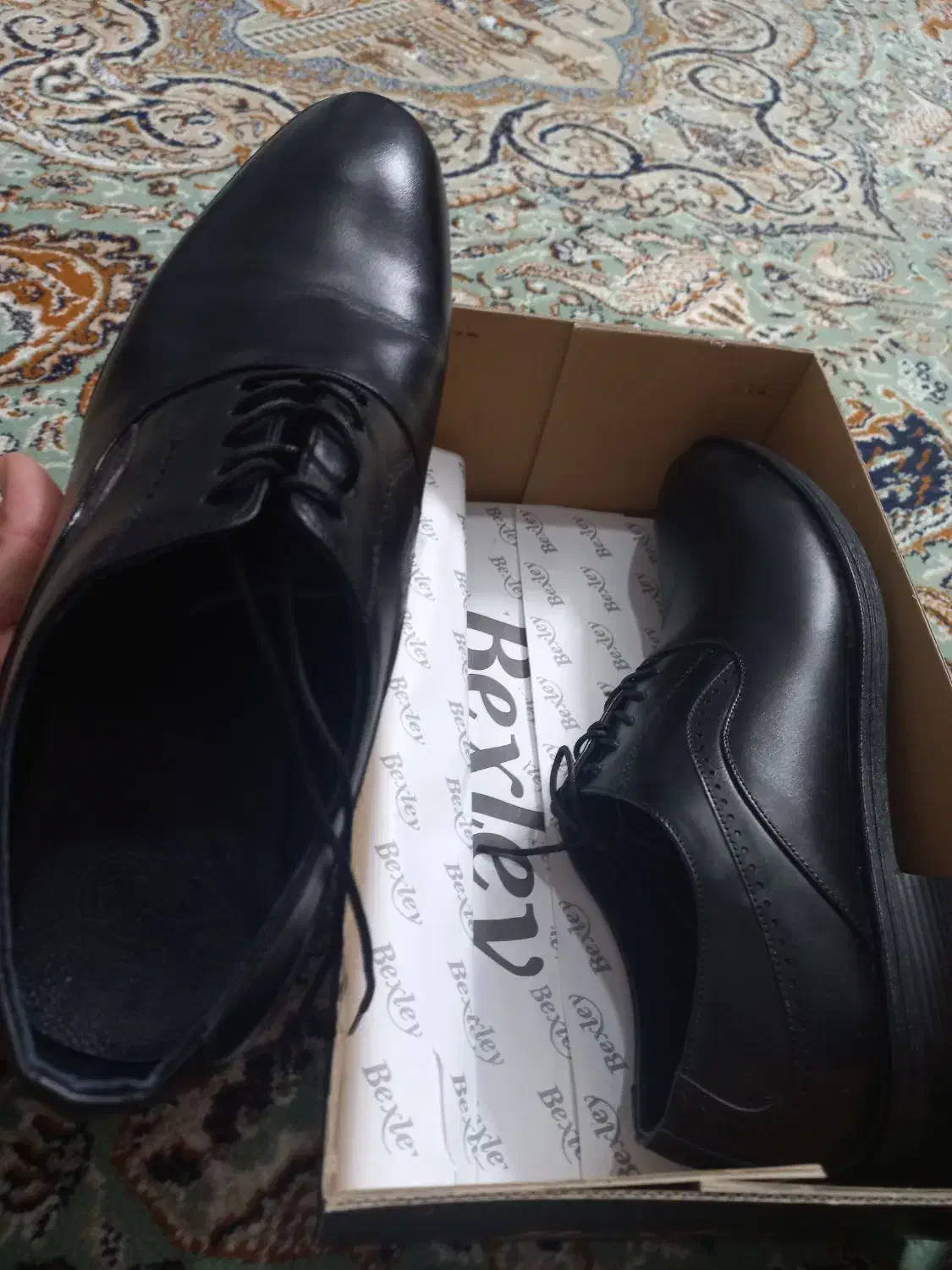 کفش  مجلسی قیمت توافقی|کیف، کفش، کمربند|کازرون, |دیوار