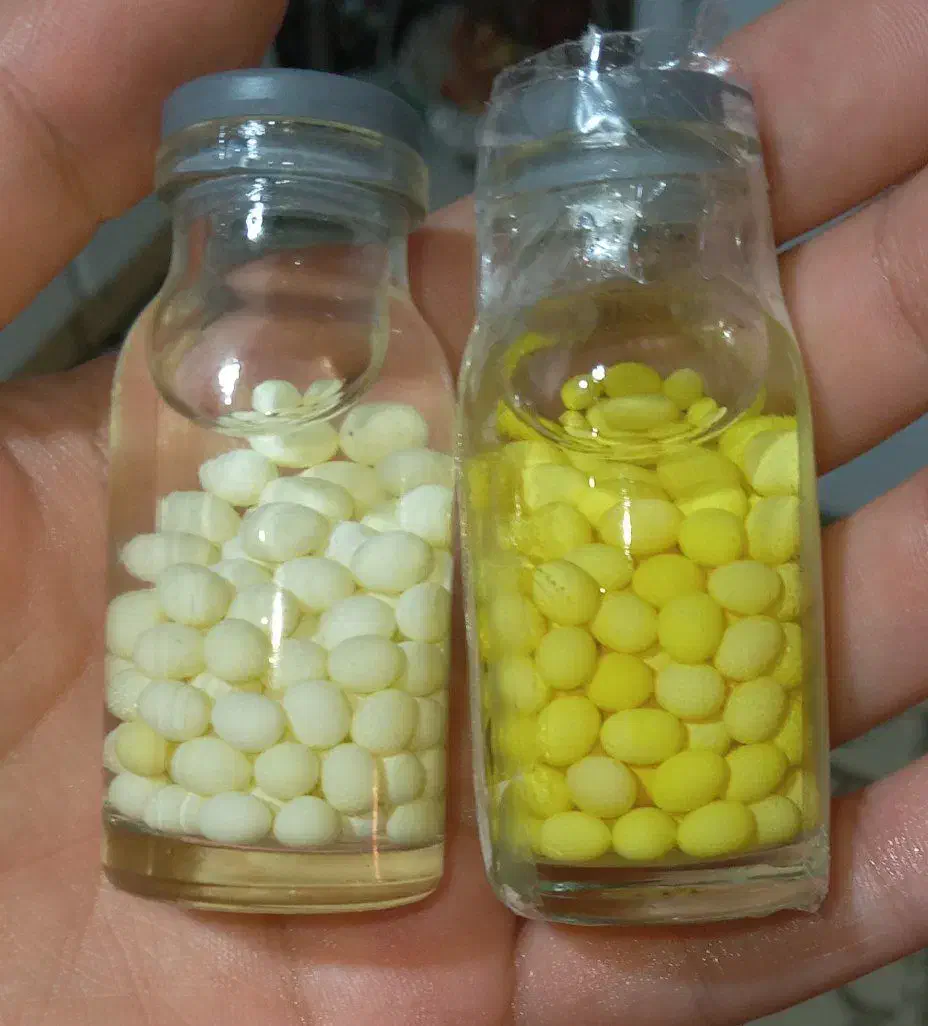 تولید و فروش خاویار حلزون|خزنده|قروه, |دیوار