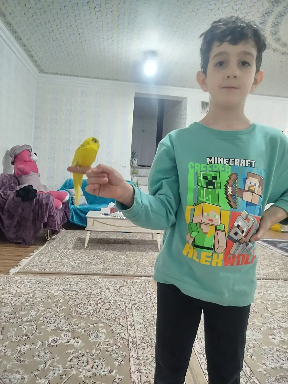 فروش یک عدد مرغ عشق اهلی معاوضه  با فنچ|پرنده|شاهین دژ, |دیوار