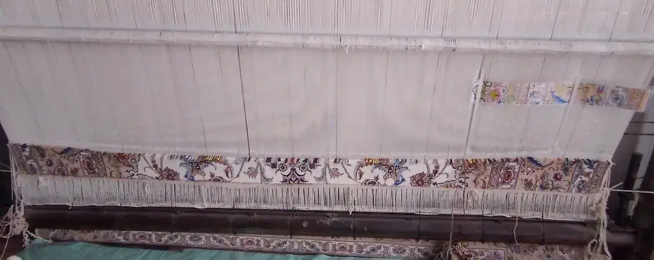 فروش قالی درحال بافت|فرش|نجفآباد, گلدشت|دیوار