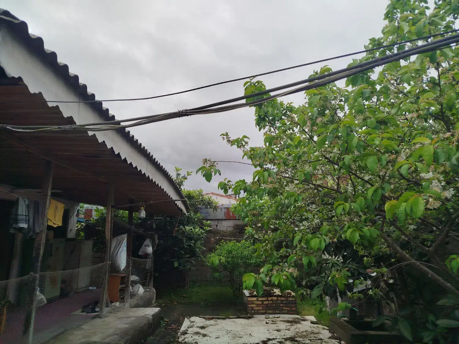 فروش خانه ویلایی|فروش خانه و ویلا|رشت, کوی طالقانی|دیوار