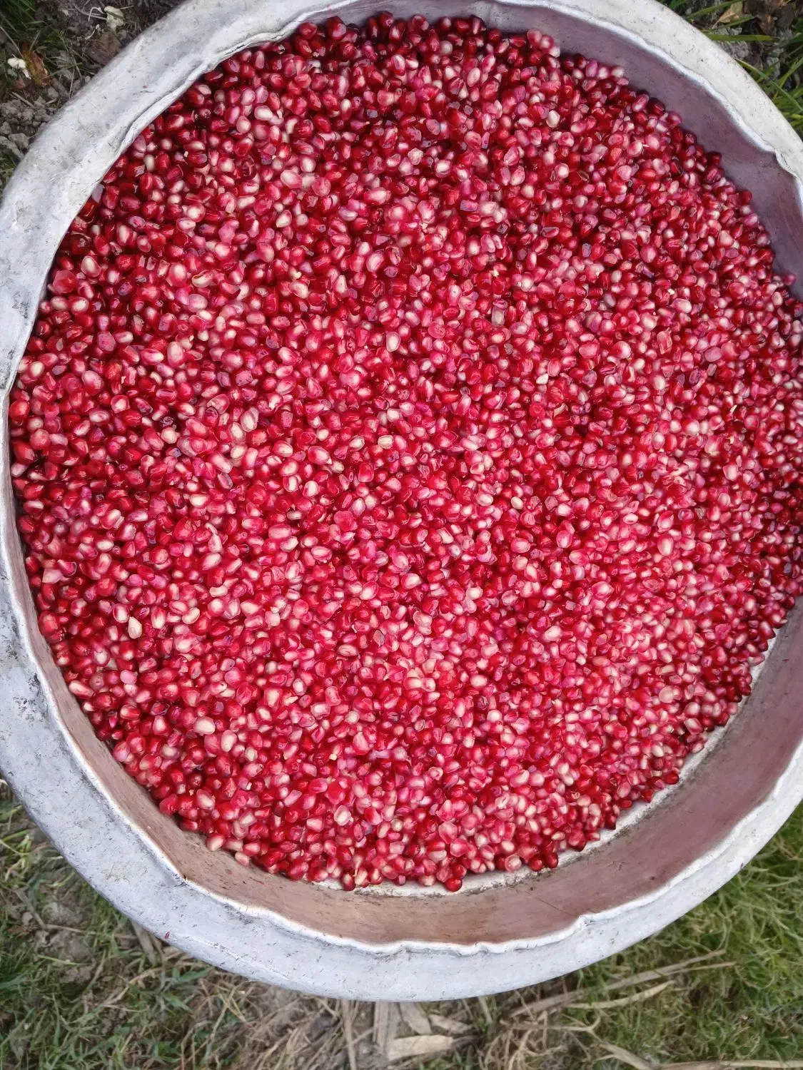 انار دون ترش|خوردنی و آشامیدنی|قائمشهر, |دیوار