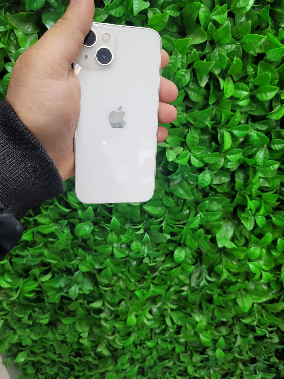 آیفون 13  نرمال|موبایل|گنبد کاووس, |دیوار