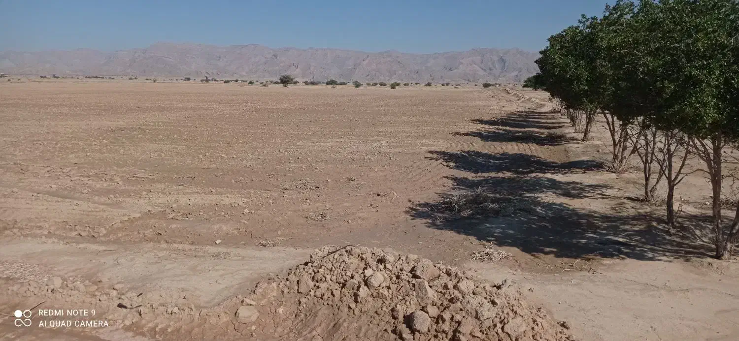 زمین کشاورزی 10 هکتاری دیم در دشت دژگاه|فروش زمین و ملک کلنگی|جم, |دیوار