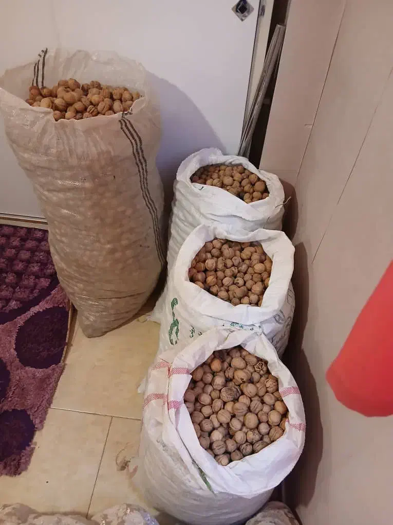 گردوی مرغوب تازه باغ خودمون|خوردنی و آشامیدنی|تهران, مسعودیه|دیوار