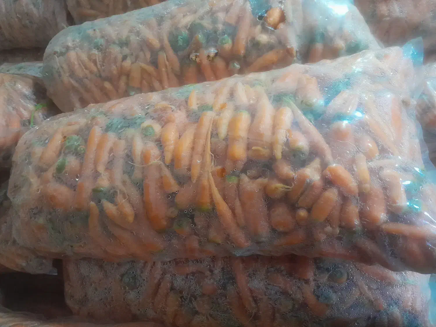 هویچ شکسته|خوردنی و آشامیدنی|فیروزآباد (لرستان), |دیوار