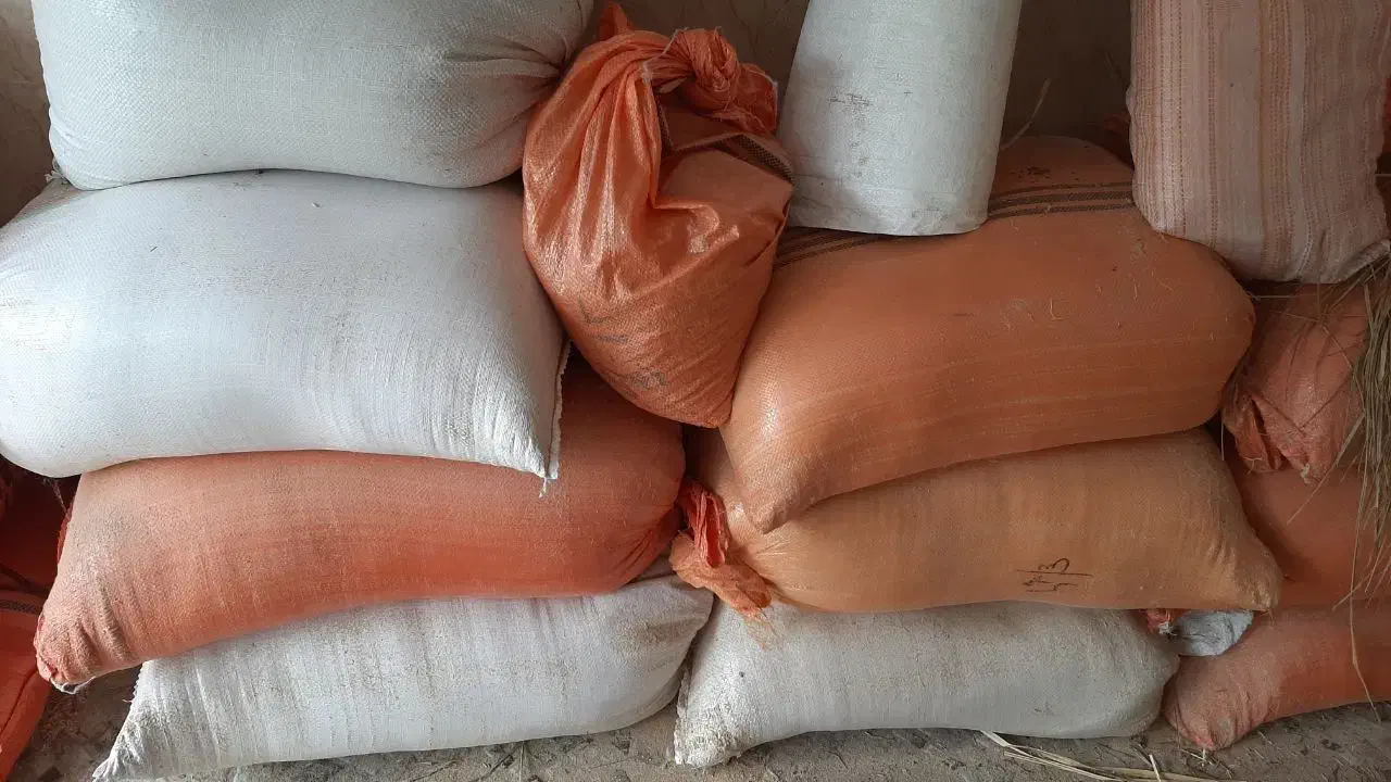 سبوس برنج|لوازم جانبی حیوانات|لاهیجان, لیالستان|دیوار