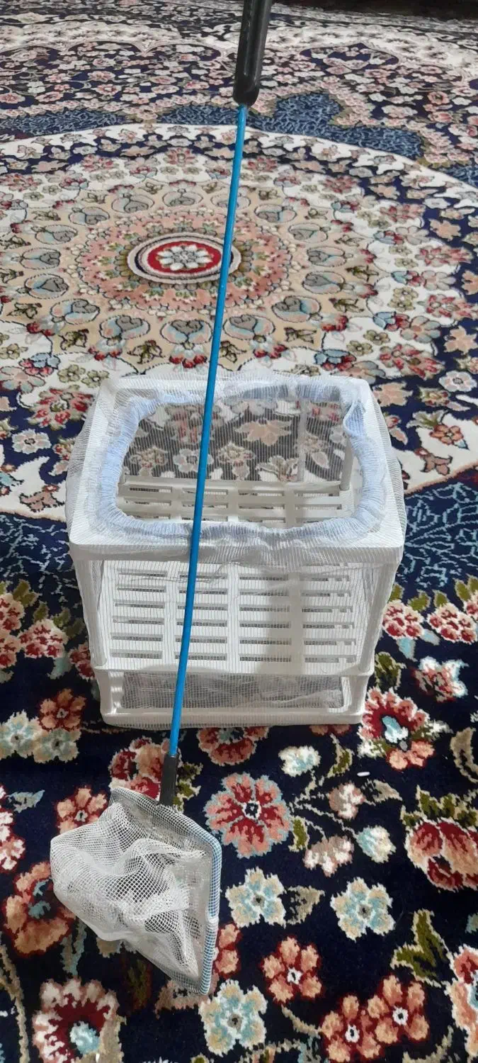 تور و زایشگاه ماهی|ماهی|مشهد, شهید قربانی|دیوار