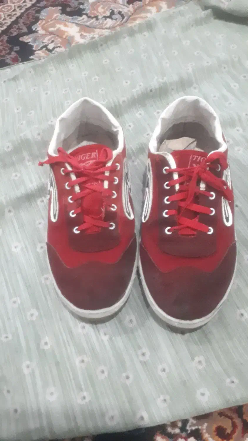 کفش فوتسال شماره ۴۳ به ۴۲ میخوره|کیف، کفش، کمربند|دورود, |دیوار