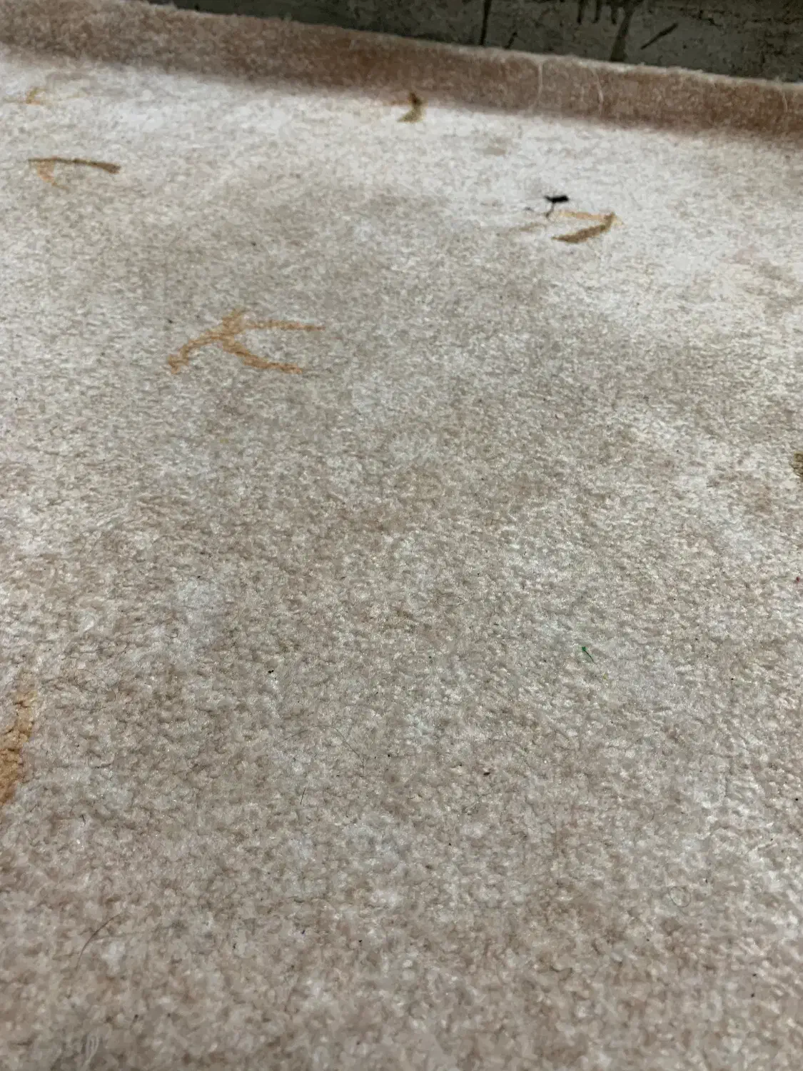 موکت|موکت|اهواز, کمپلو جنوبی|دیوار