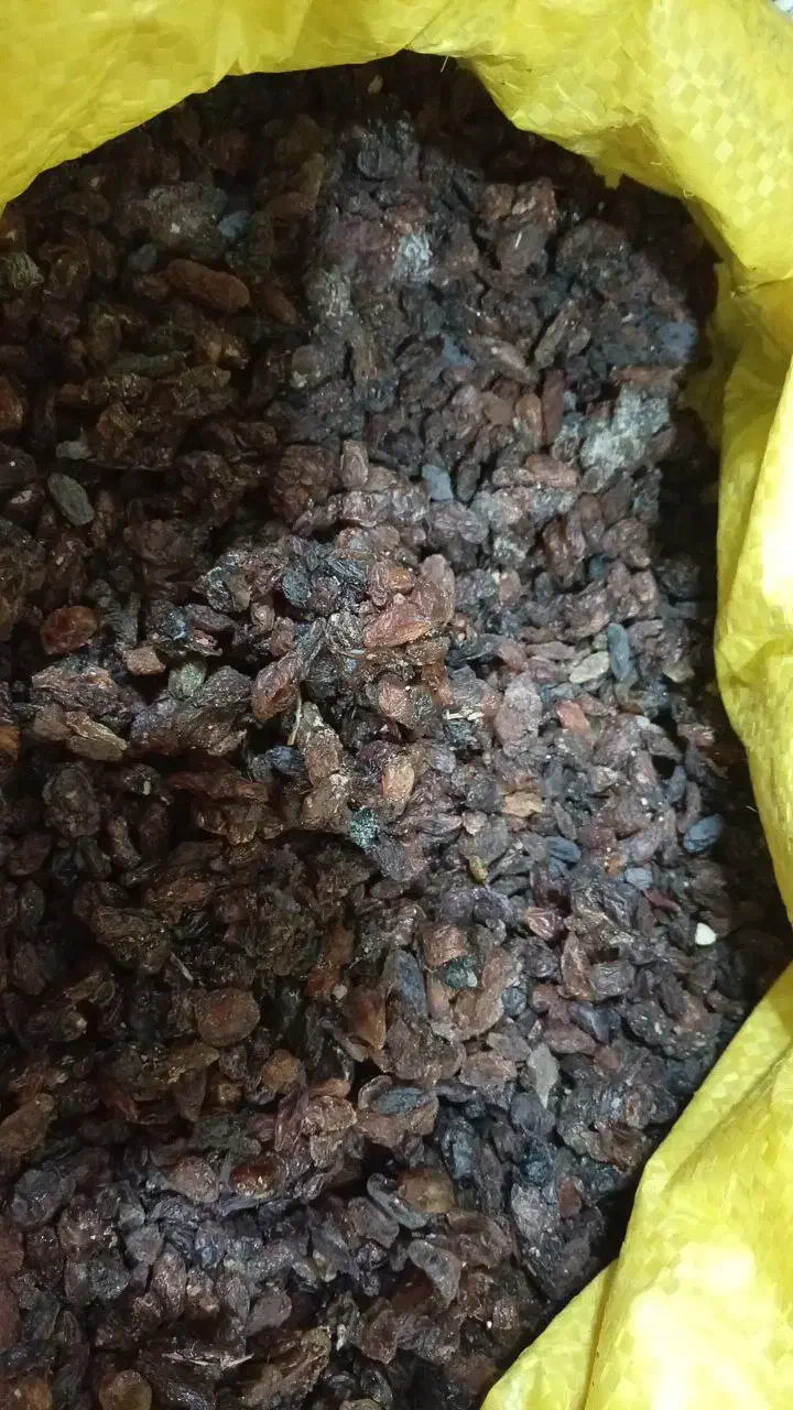 کشمش آفتابی، ضایعات خرمای شیرازی، ضایعات توت خشک|خوردنی و آشامیدنی|بناب, |دیوار