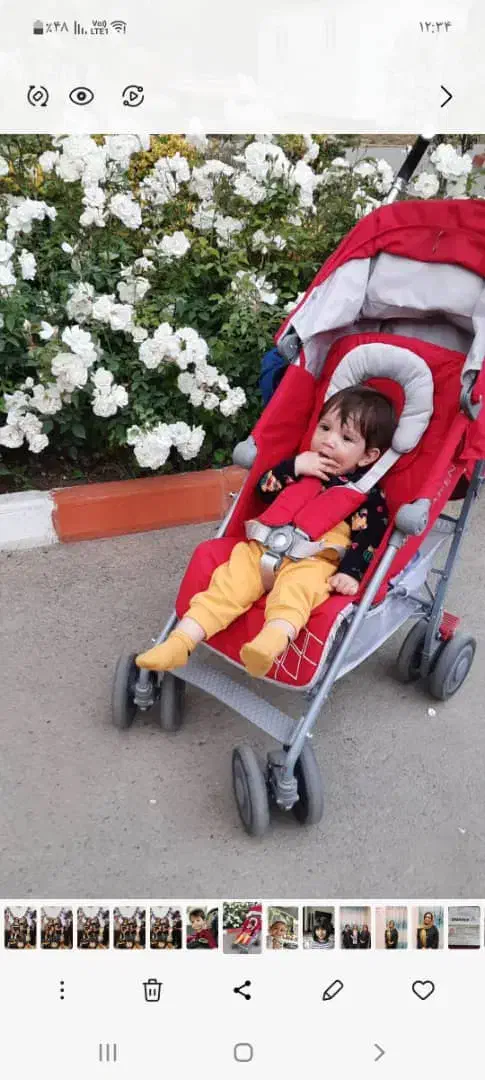 کالسکه عصایی مک لارن مدل تکنو xt|کالسکه و لوازم جانبی|تهران, فرمانیه|دیوار