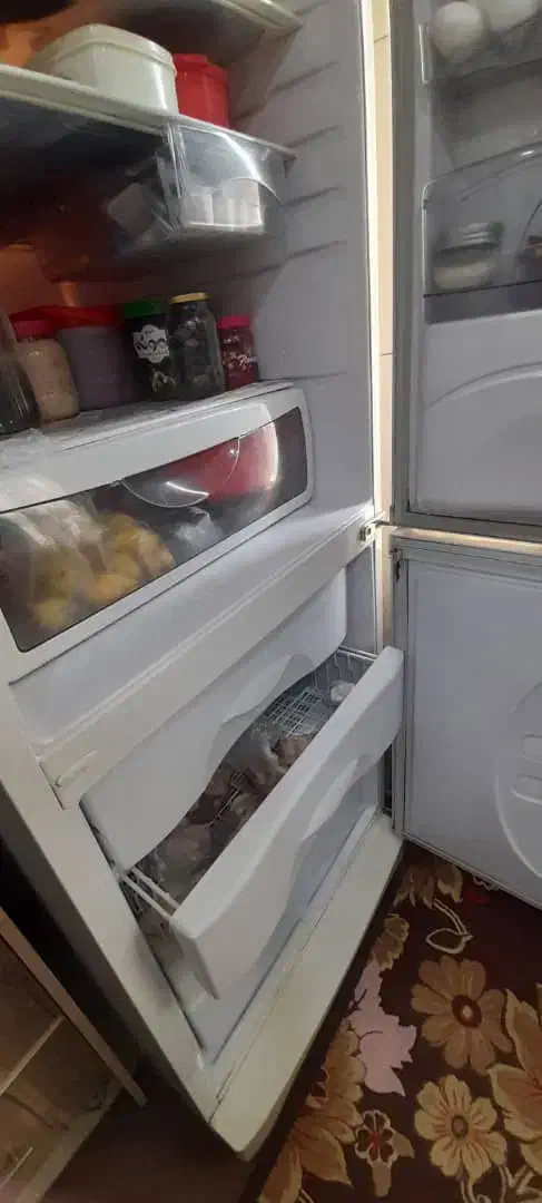 یخچال فریزر|یخچال و فریزر|تهران, مشیریه|دیوار