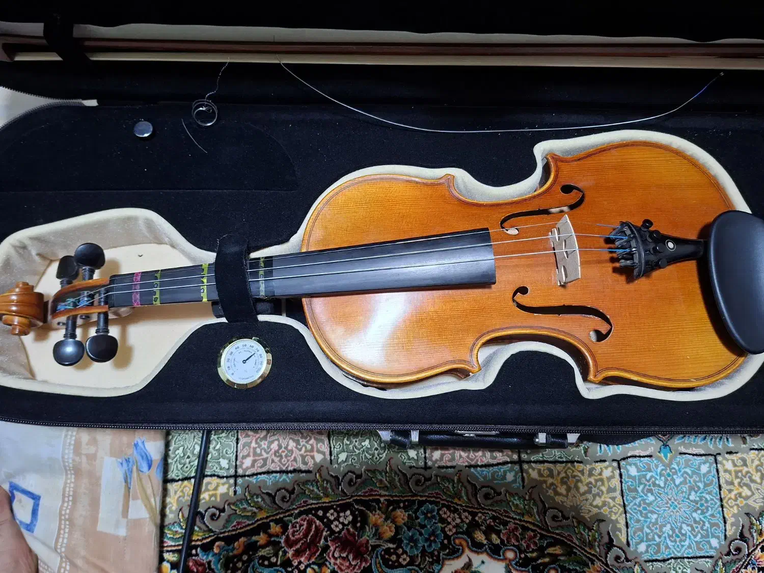 ویولن ۰۰۸۰۰|ویولن|دوگنبدان, |دیوار