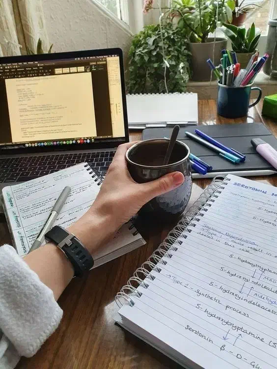 کارشناس فروش و ادمین حرفه ای|خدمات رایانه‌ای و موبایل|تبریز, |دیوار