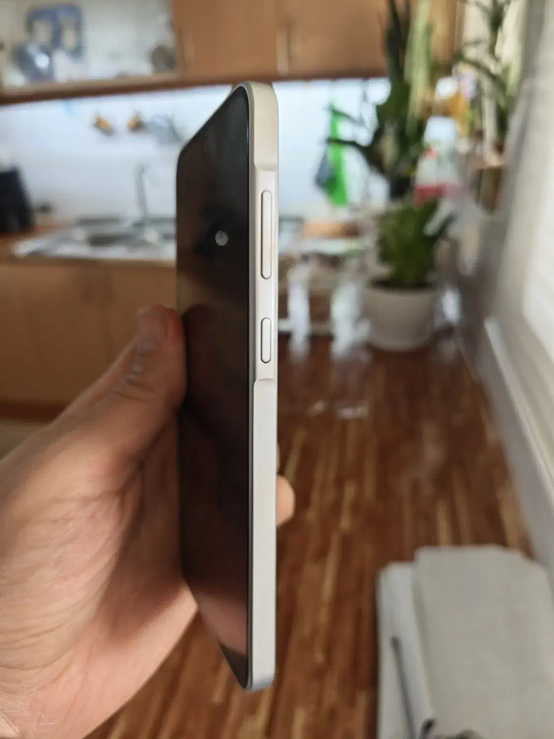 Samsung A36|موبایل|تهران, تهرانپارس شرقی|دیوار