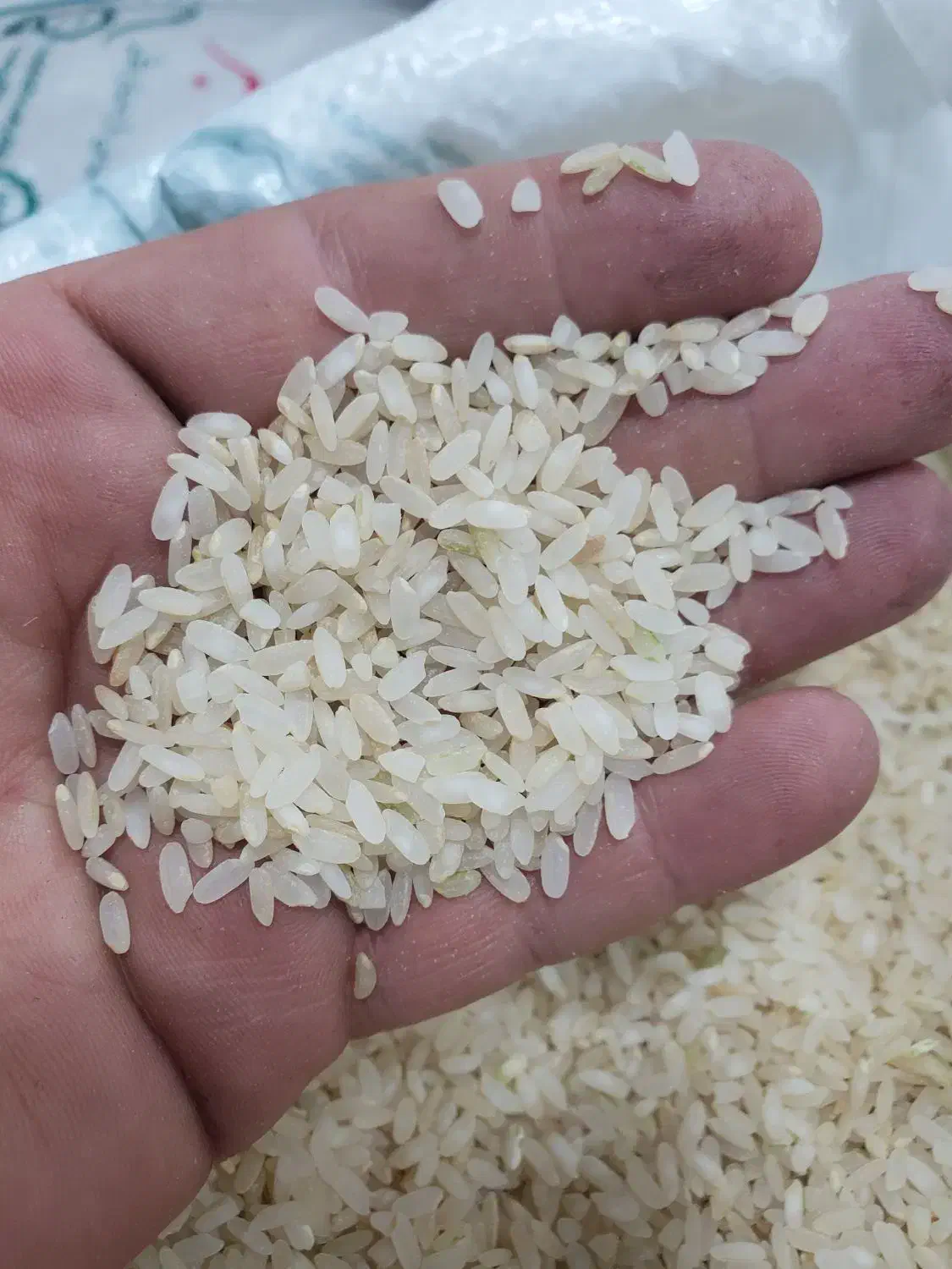 فروش برنج کامفیروزی|خوردنی و آشامیدنی|شیراز, شهرک مهدی‌آباد|دیوار