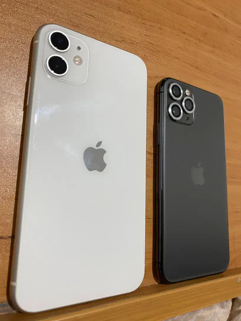 آیفون ۱۱نرمال وپرو|موبایل|سمنان, |دیوار