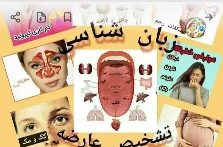 آموزش طب سنتی|خدمات آموزشی|تهران, شیخ هادی|دیوار