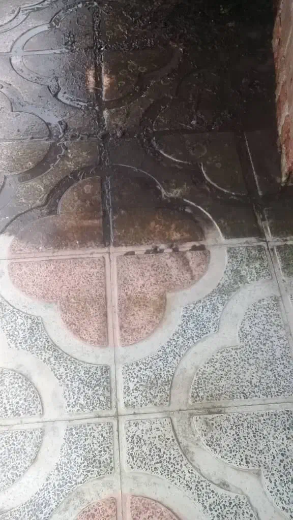 کار با کارواش|خدمات نظافت|سلمانشهر, |دیوار