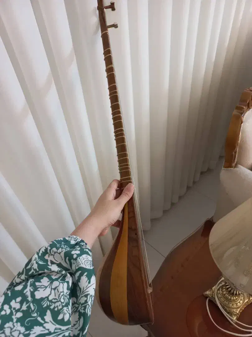 سازسه تار|سازهای سنتی|محمدشهر, محمدشهر|دیوار