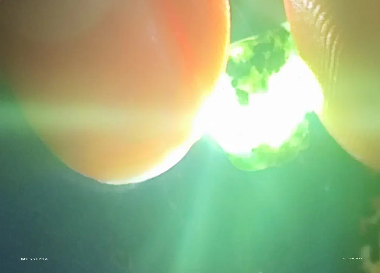 جزر سبز|جواهرات|زابل, |دیوار