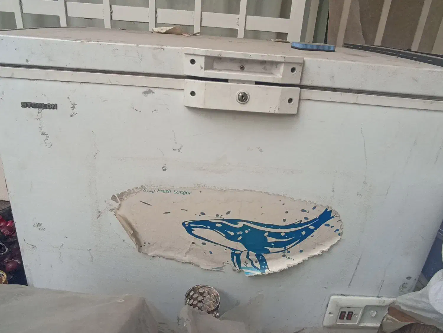 قوطی موز صندلی چرخ دار وفریزرصندوق دار|یخچال و فریزر|تبریز, |دیوار