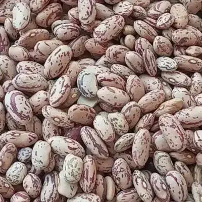 لوبیا چیتی ۳۳۰|خوردنی و آشامیدنی|شاهین‌شهر, مخابرات (شهید بهشتی)|دیوار